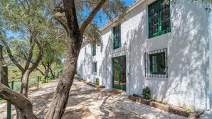Un edificio blanco con ventanas verdes y un sendero de piedra que lleva a la entrada.