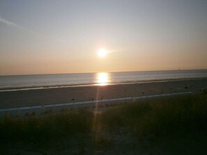 Beach - Atlantic Comfortable Holiday Residence (Bergen aan Zee)