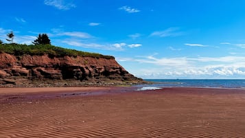 Plage à proximité, chaises longues, serviettes de plage