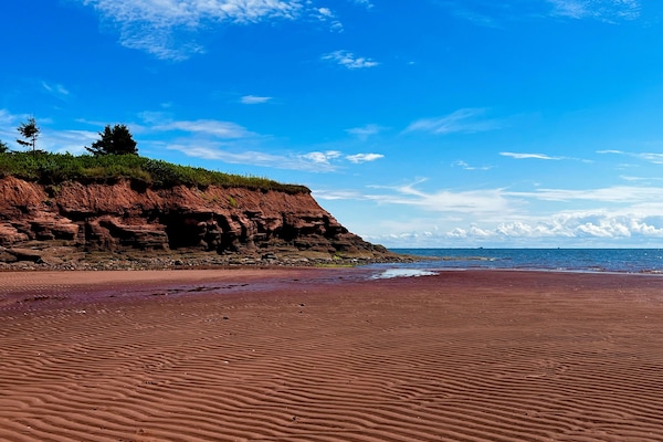 Plage à proximité, chaises longues, serviettes de plage
