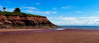 BRAND NEW! Cozy Island beach get-away.