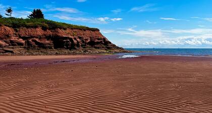 BRAND NEW! Cozy Island beach get-away.