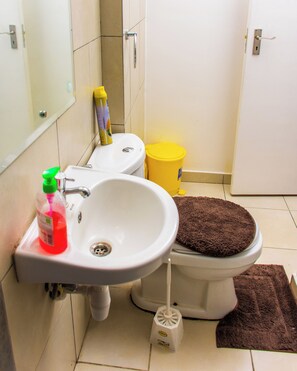 Hair dryer, towels, soap, toilet paper