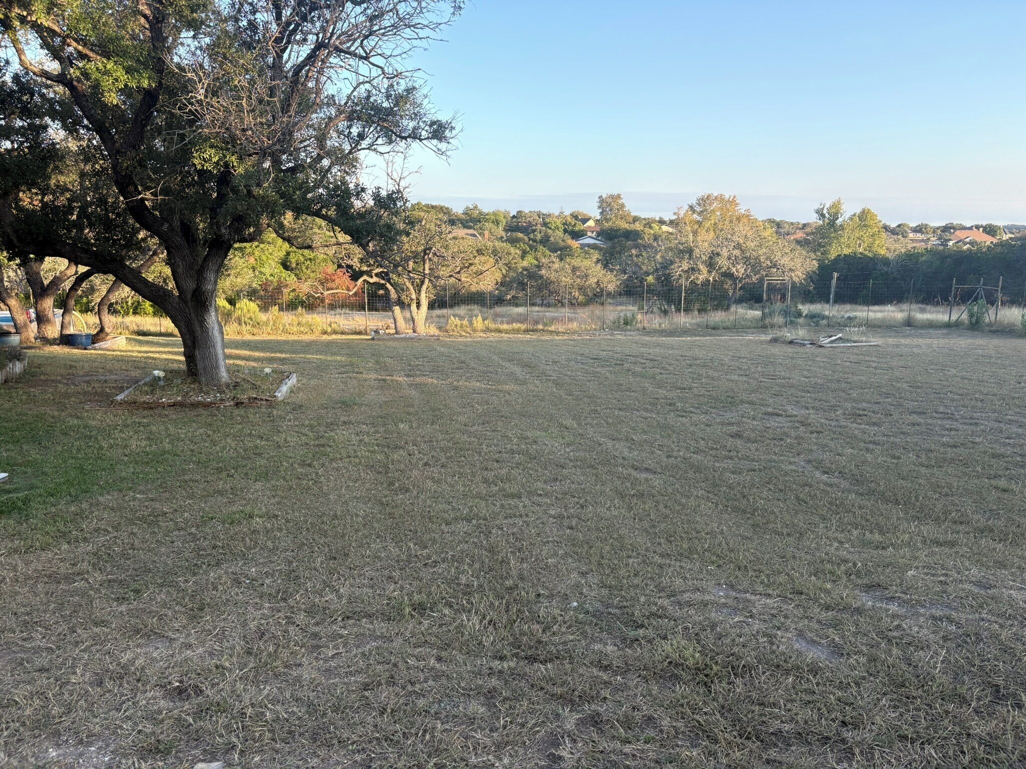 A grassy field with a large tree and a fence in the background.