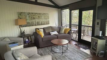 TV connectée, cheminée, lecteur de DVD, vidéothÚque