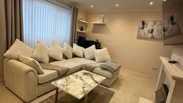 Smart TV, fireplace, books, printers
