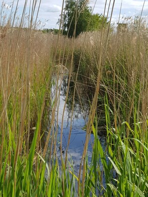 Unclassified image, 4 of 17, button - Haus Wellenrauschen - The vacation home "Wellenrauschen" the perfect place for peace and quiet (Zingst)