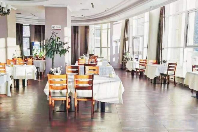 A spacious dining area with multiple tables and chairs, large windows, and a central plant.