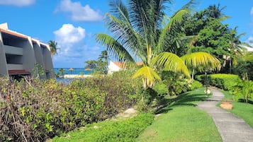 Jardines del alojamiento