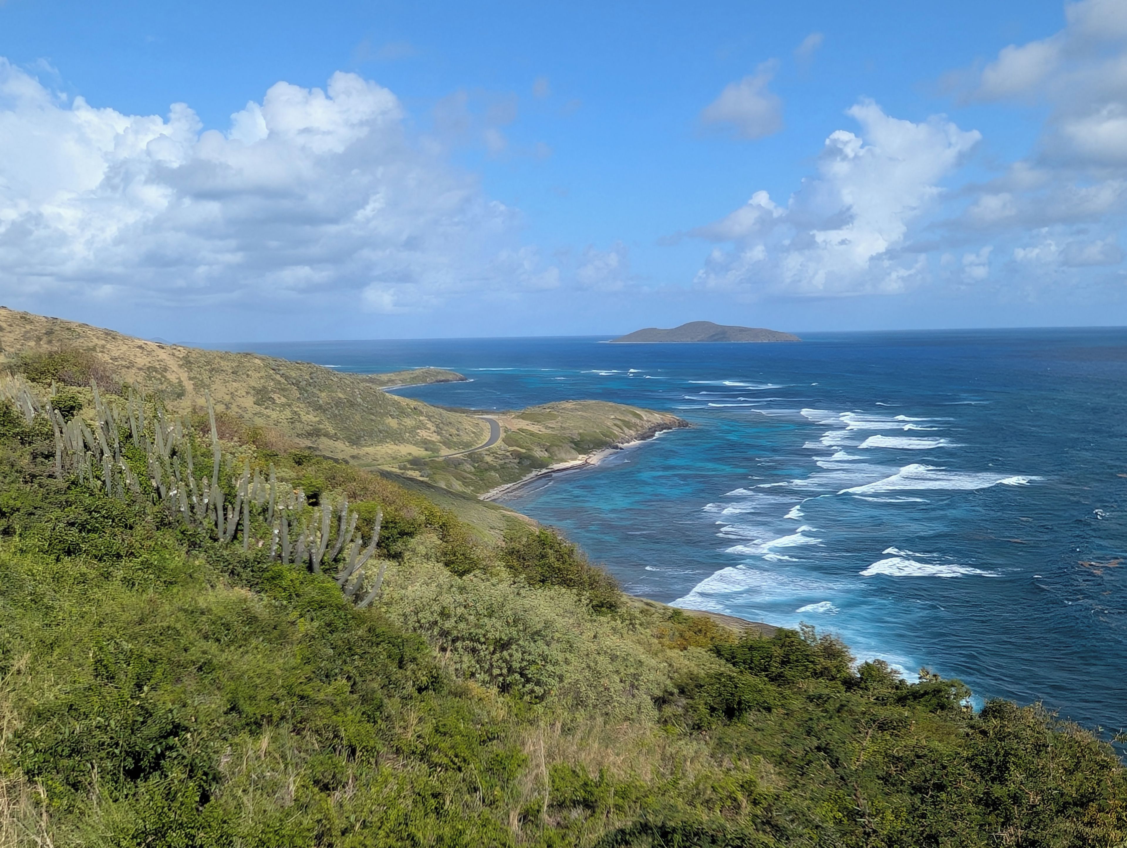 Un paysage côtier avec une route sinueuse, une végétation luxuriante et une vue sur l’océan.