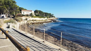 Playa en los alrededores