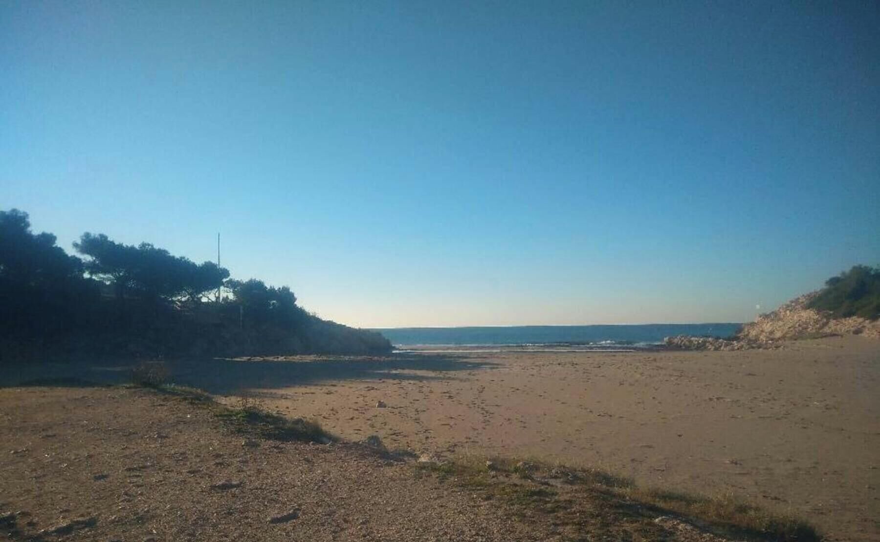 Une plage avec un ciel dégagé, un rivage sablonneux et une végétation clairsemée.