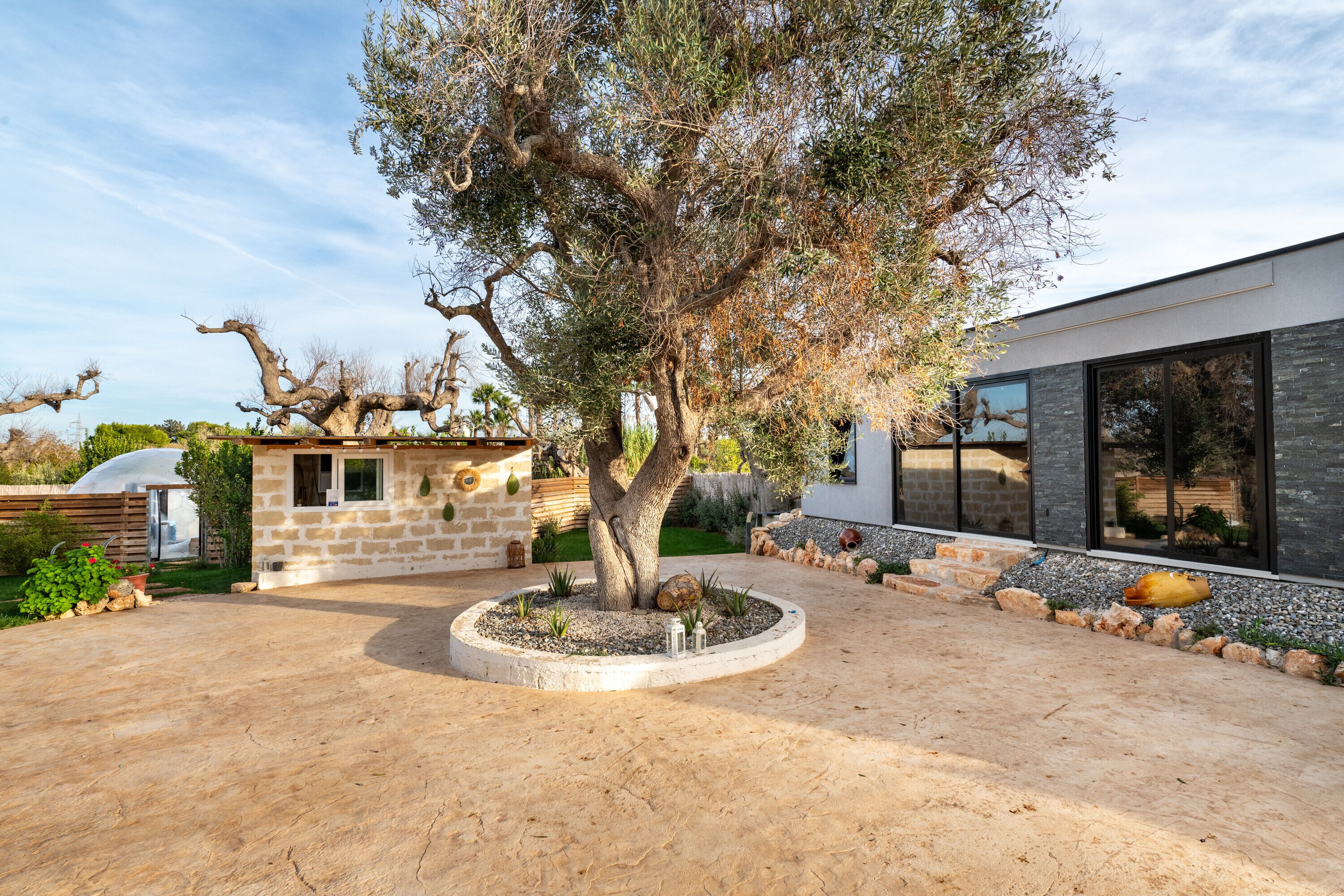 Parco della struttura