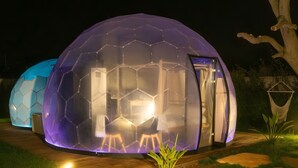Une structure en forme de dôme géodésique dotée d’un espace intérieur visible où sont disposés des sièges, ainsi que d’une porte.