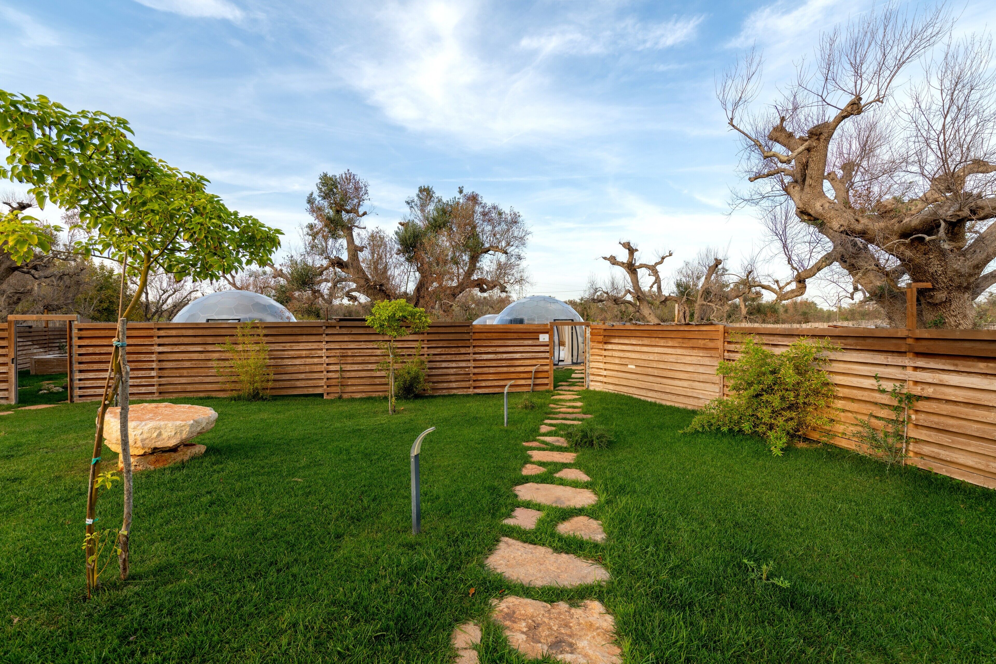 A backyard with a stone path, wooden fence, and trees.