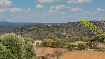 A rural landscape with a building on a hill, surrounded by trees and open fields.