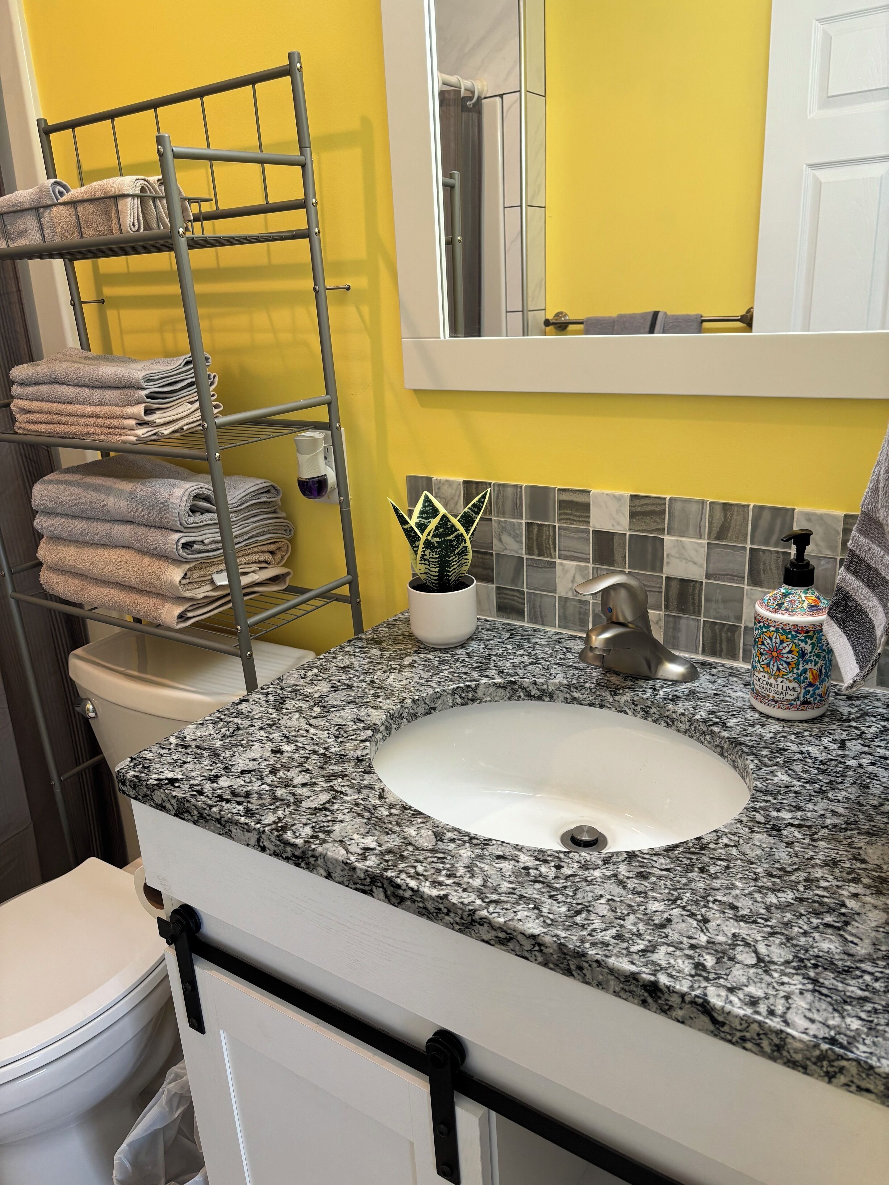 Une salle de bain avec un comptoir en granit, un lavabo blanc, un porte-serviettes avec des serviettes pliées, une plante en pot et un distributeur de savon.