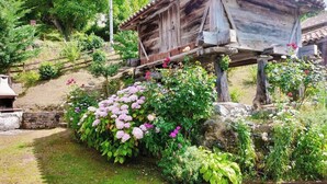 Una estructura de madera rústica con techo de tejas, rodeada de exuberante follaje y plantas en flor.