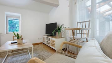 TV