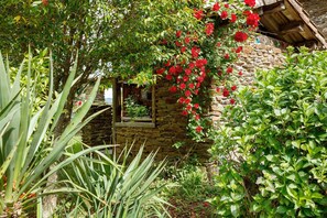 Property grounds - Ground Floor Room 'Le Mont Aigoual' 15 m² (Saumane)