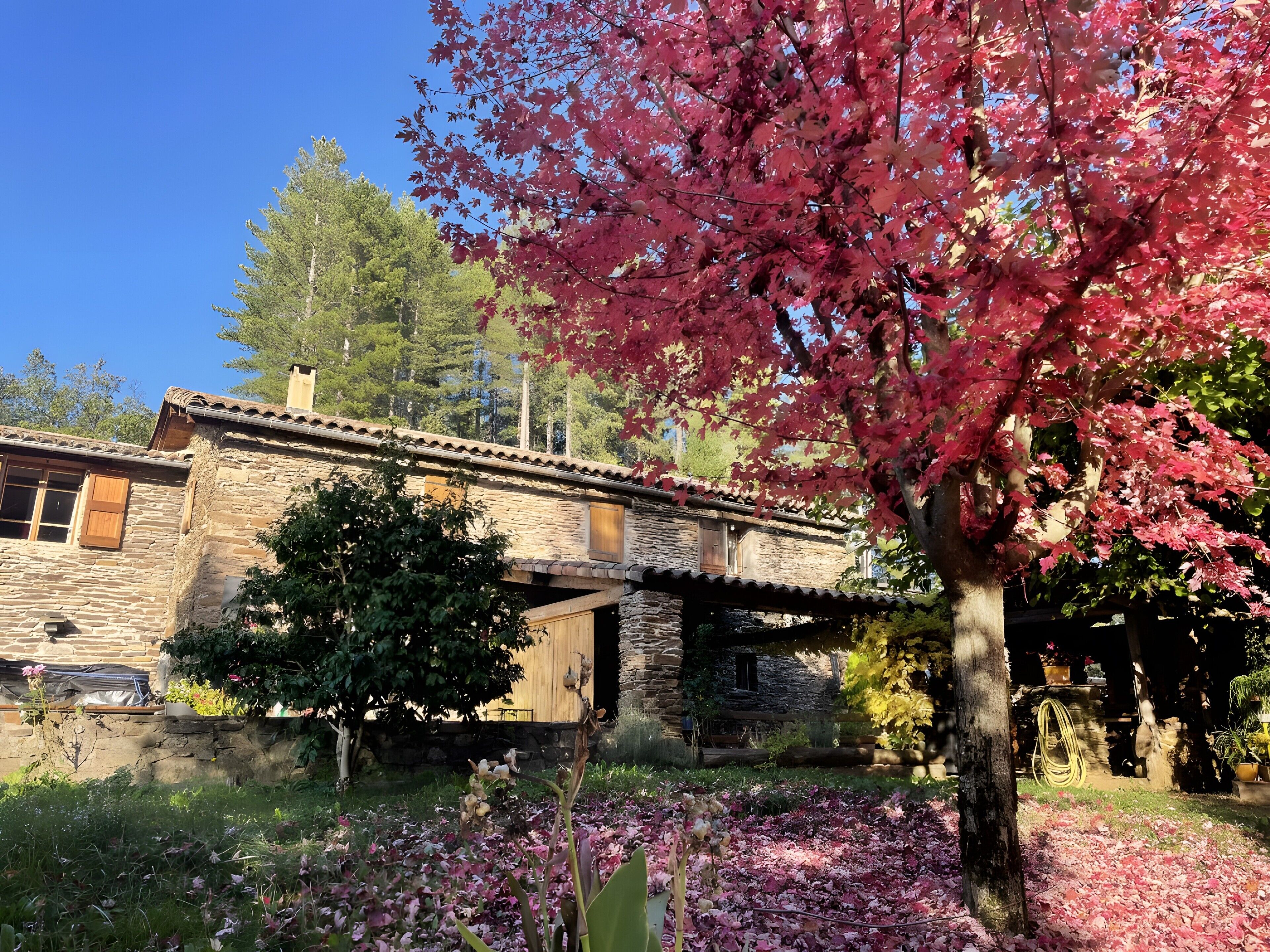 Terrein van de accommodatie