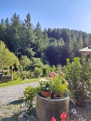 Property grounds - Rooms with shared terrace, shared garden and Wi-Fi (Saumane)