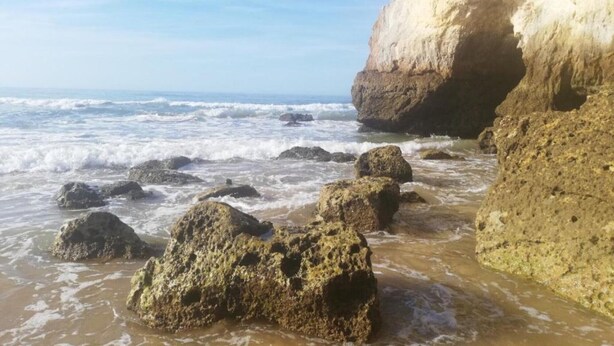 Paisaje costero con terreno rocoso y olas.
