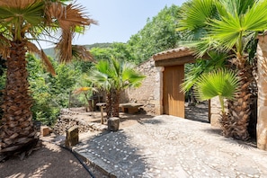 A stone pathway leading to a wooden door, surrounded by palm trees and a stone wall.