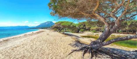 Una spiaggia nelle vicinanze