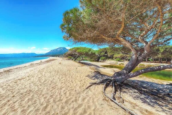 Playa en los alrededores 