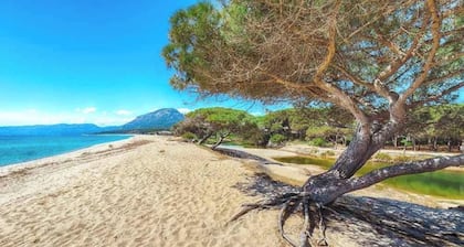 Ferienhaus 'Casa Su Barone' mit privater Terrasse, privatem Garten und Klimaanlage