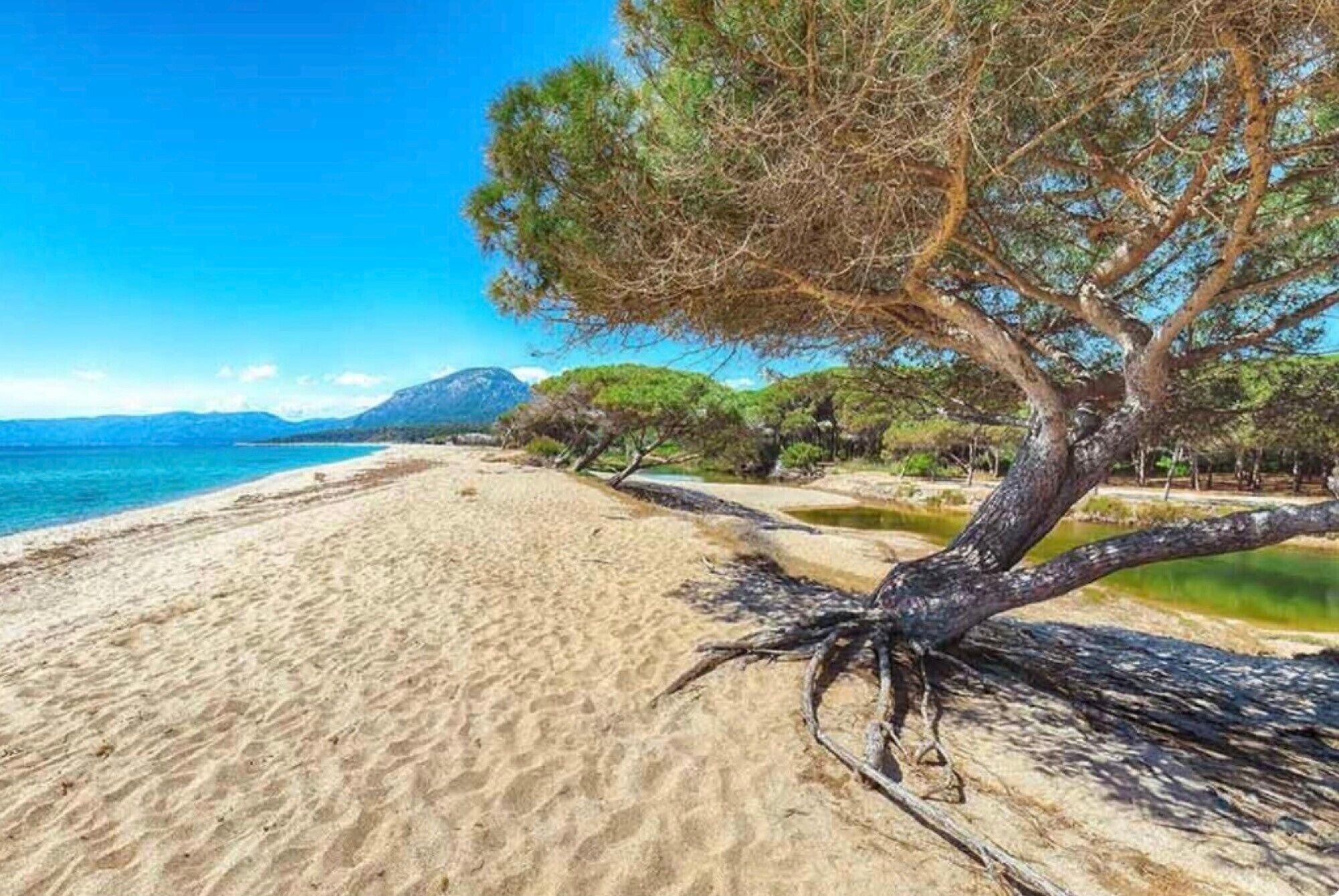 Plage à proximité