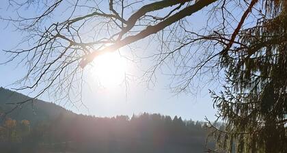 Villa 'Chalet 6 À 8 Pers Au Bord Du Lac' with Lake View, Private Terrace and Wi-Fi