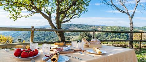 An outdoor dining table with food and drinks, surrounded by a scenic mountain view.