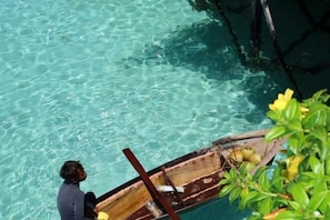 Quang cảnh nhìn từ nơi lưu trú