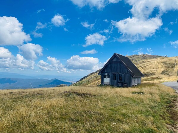 Exterior - Cedar 2 - Motel Room (Merrijig)