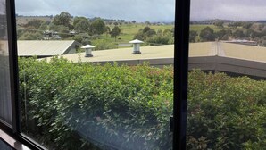 Vista a través de una ventana de un edificio con un seto verde en primer plano, un techo de metal y un paisaje con árboles y edificios al fondo.