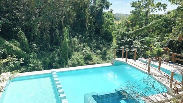 Une piscine rectangulaire à l’eau d’un bleu limpide, entourée d’une végétation luxuriante et d’arbres.