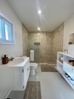 Ein modernes Badezimmer mit einer Marmordusche, einem großzügigen Waschbecken und einer Toilette.