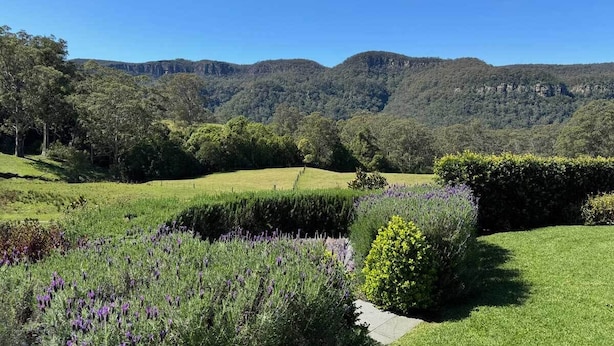 Ein gepflegter Garten mit Rasenflächen, verschiedenen blühenden Pflanzen und sanften Hügeln sowie Bergen im Hintergrund.