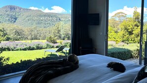 Ein Schlafzimmer mit Bett, Decke und Blick auf eine grüne Landschaft mit Bäumen und einer Hügelkuppe.