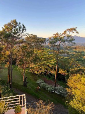 Photo non classée, 5 sur 75, bouton