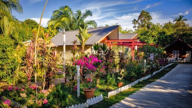 A tropical garden with a house, a wooden fence, and a pathway. - Timba Garden Semporna Free Town / Jetty Transport (Semporna)