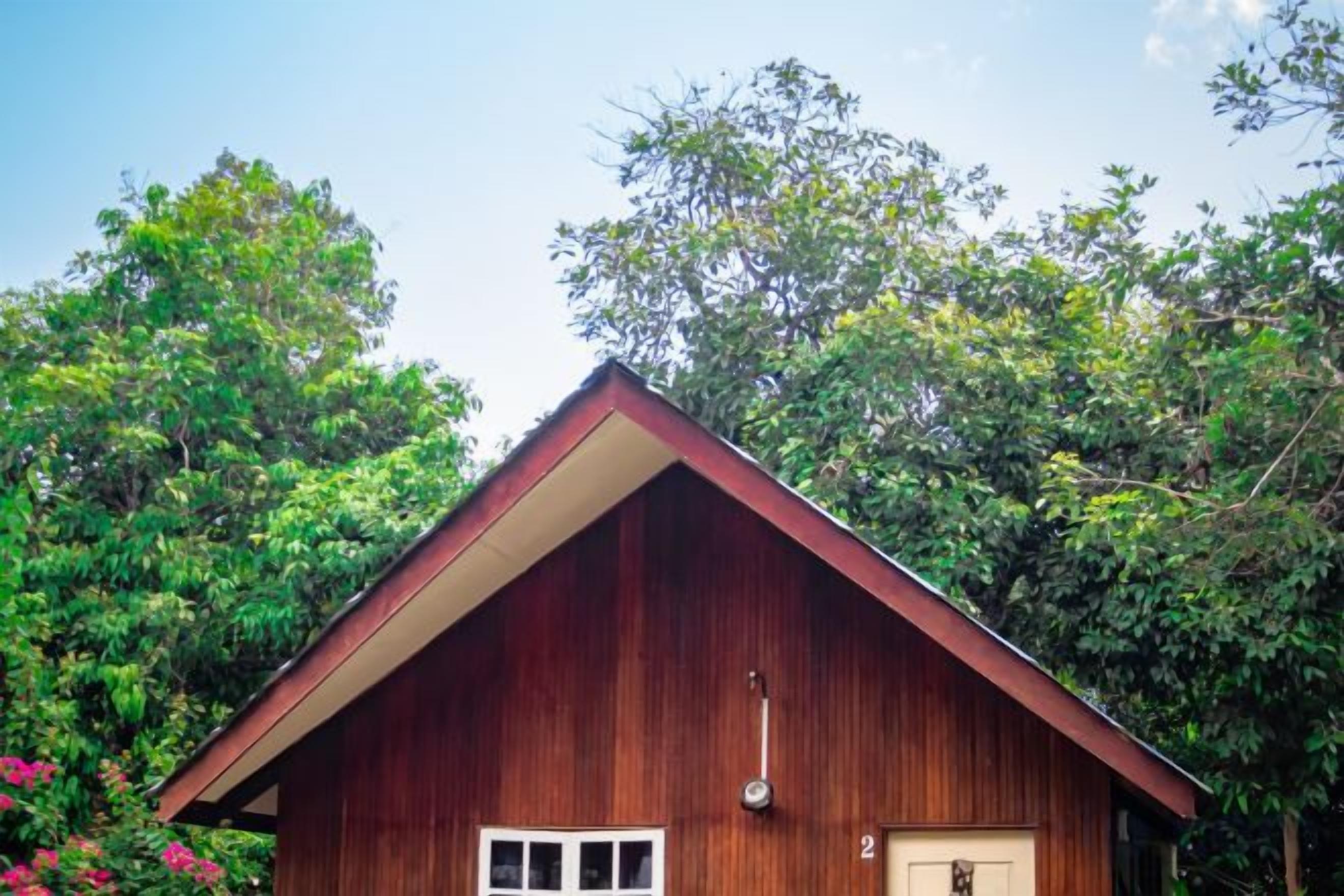 A wooden cabin with a pitched roof, surrounded by dense foliage.