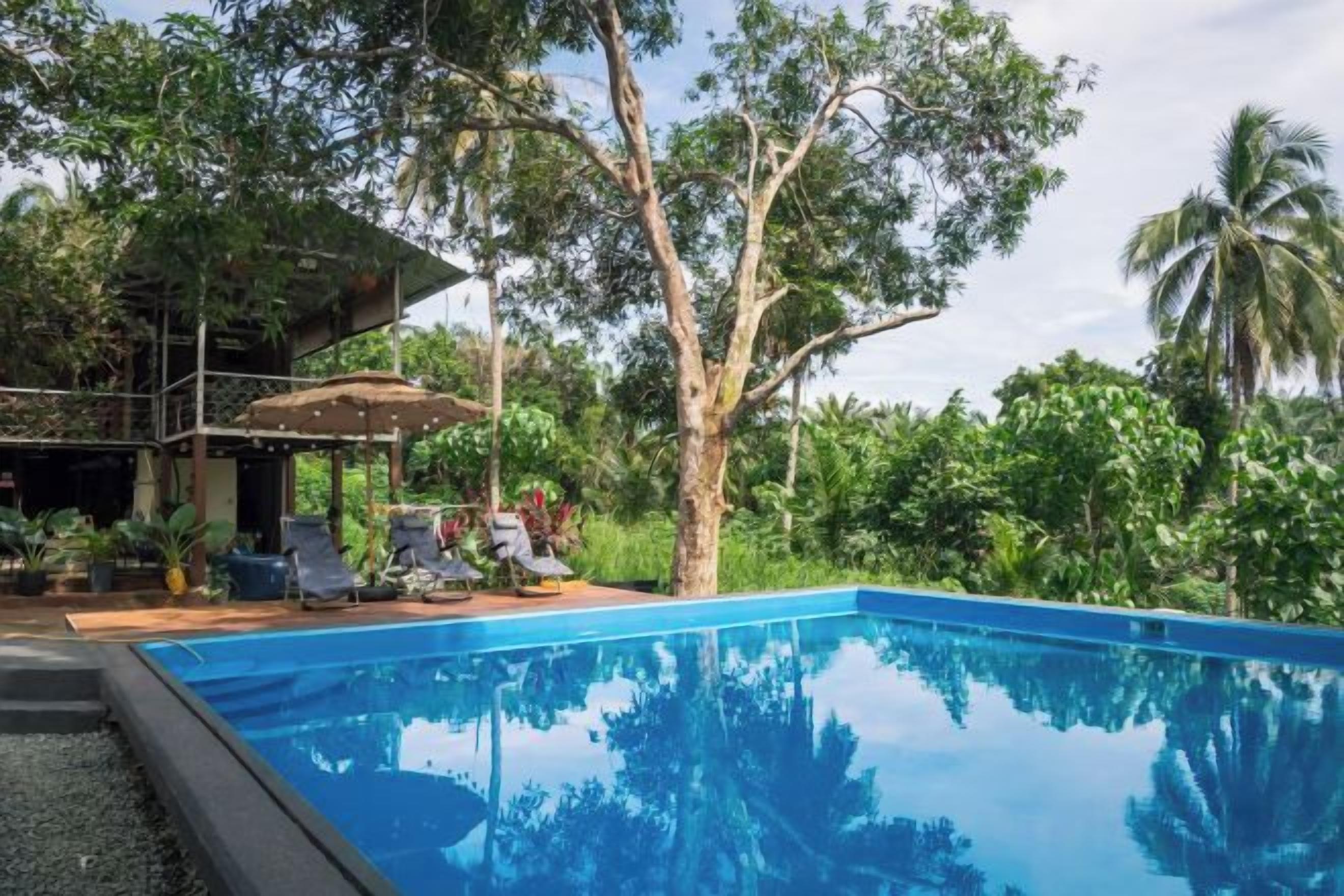 Une piscine à l’eau d’un bleu cristallin, entourée d’une végétation luxuriante et d’arbres.