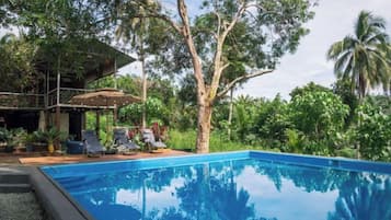 Une piscine à l’eau d’un bleu cristallin, entourée d’une végétation luxuriante et d’arbres.