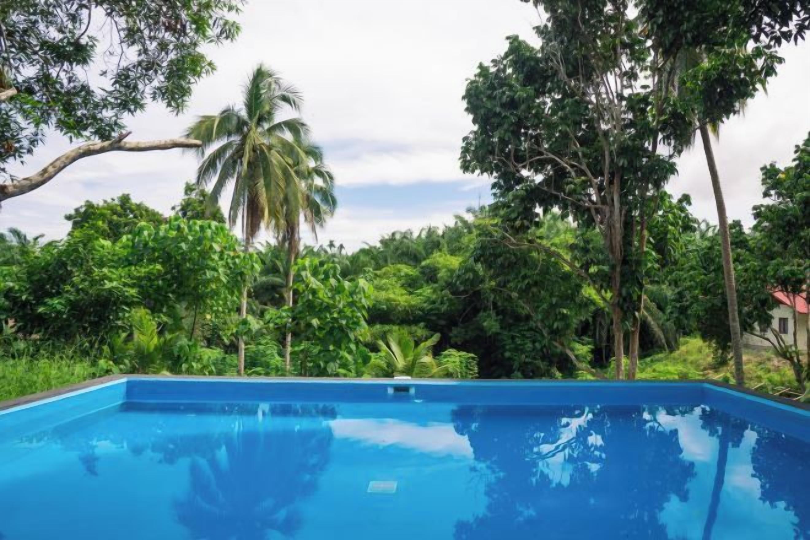 A swimming pool surrounded by lush greenery and trees.