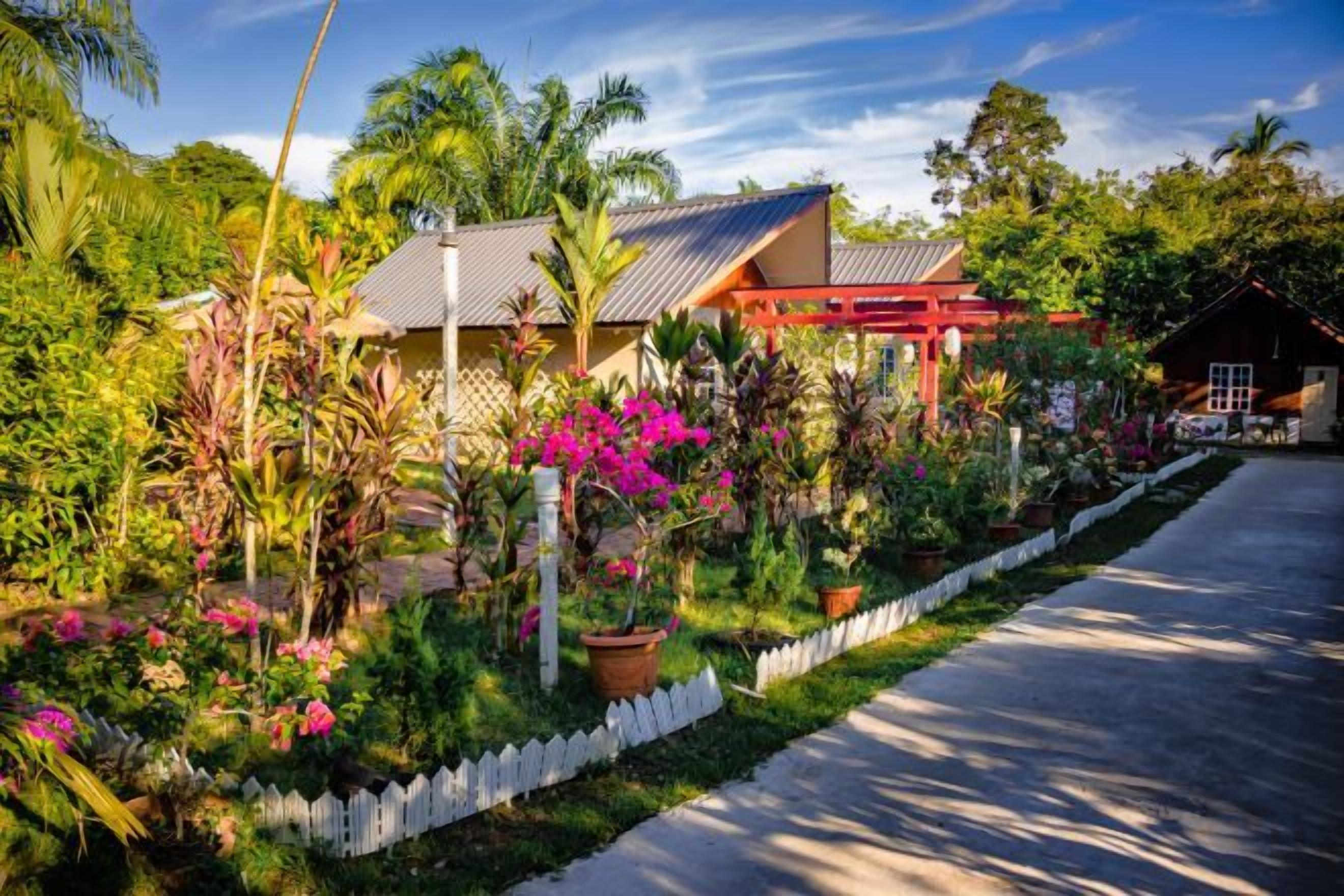 A house with a red roof, surrounded by lush greenery and flowering plants.