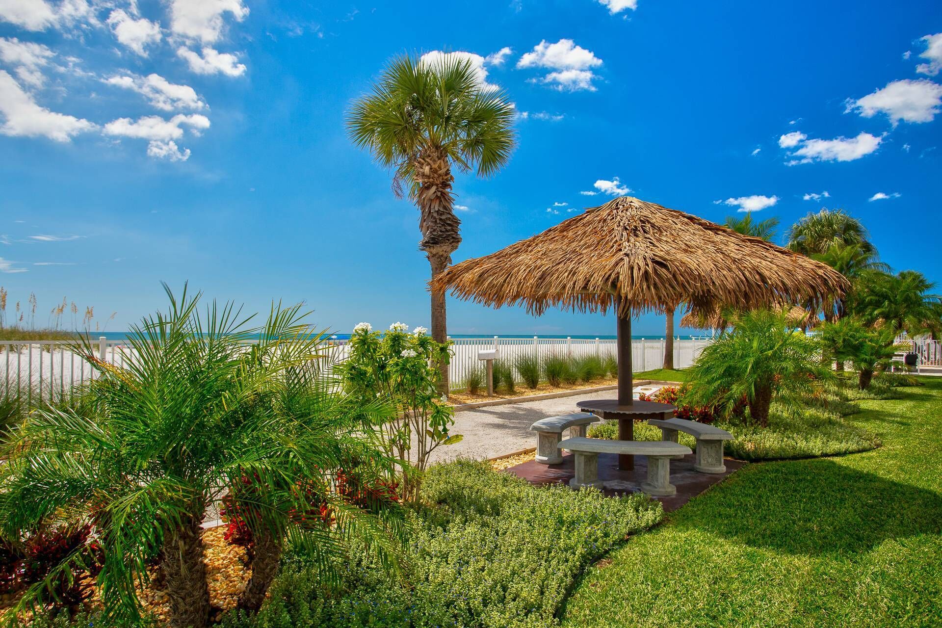 A beachside garden with a thatched umbrella, palm trees, and a bench.