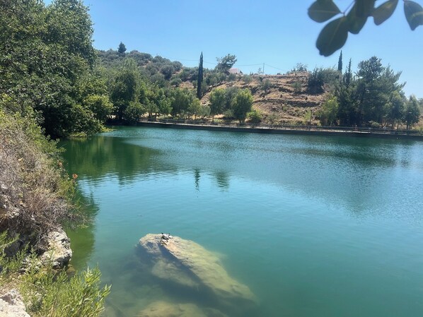 A calm lake with clear water, surrounded by trees and hills.